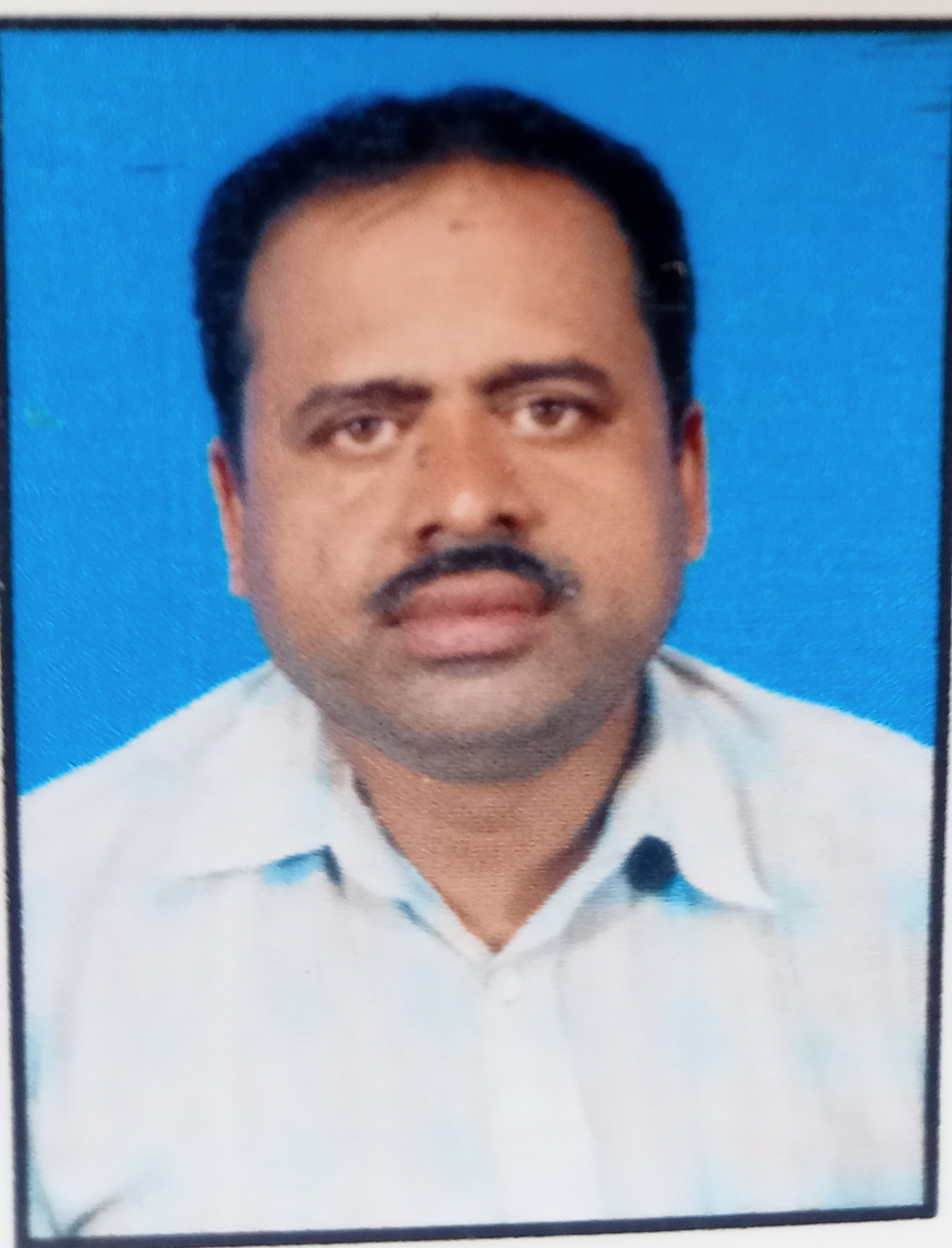 User Profile